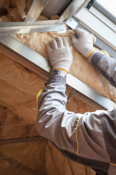 Best Specialized Insulation Services in Soh Salt Lake, UT